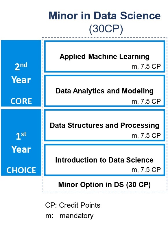 Minor in data science