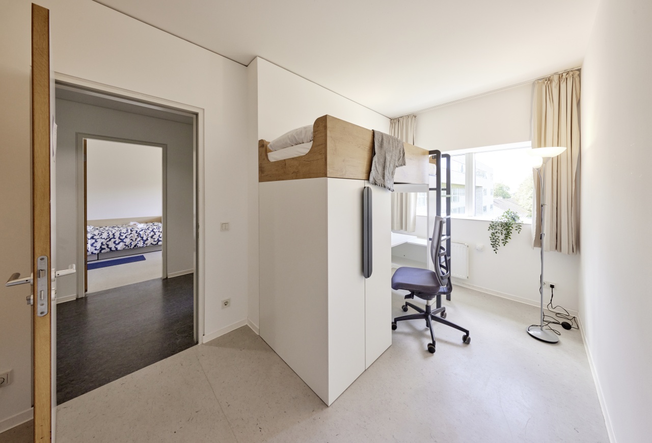 loft room - window