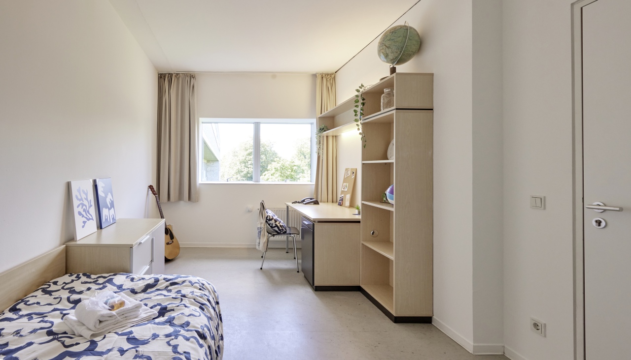 single room - window view