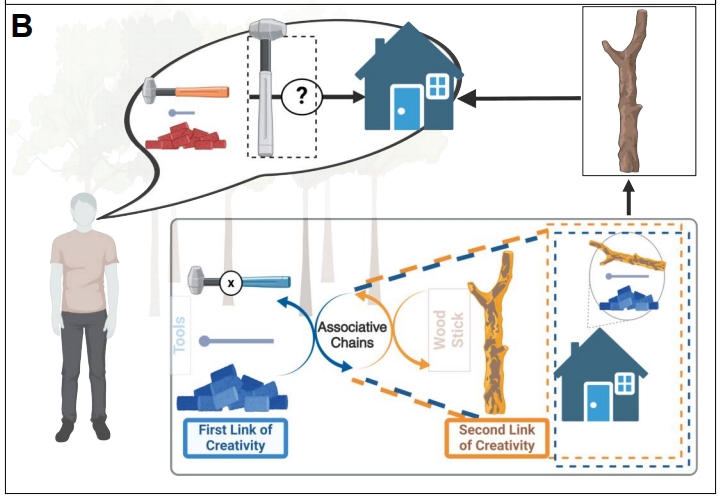 Constructor University researchers shed light on creative thinking in a new study