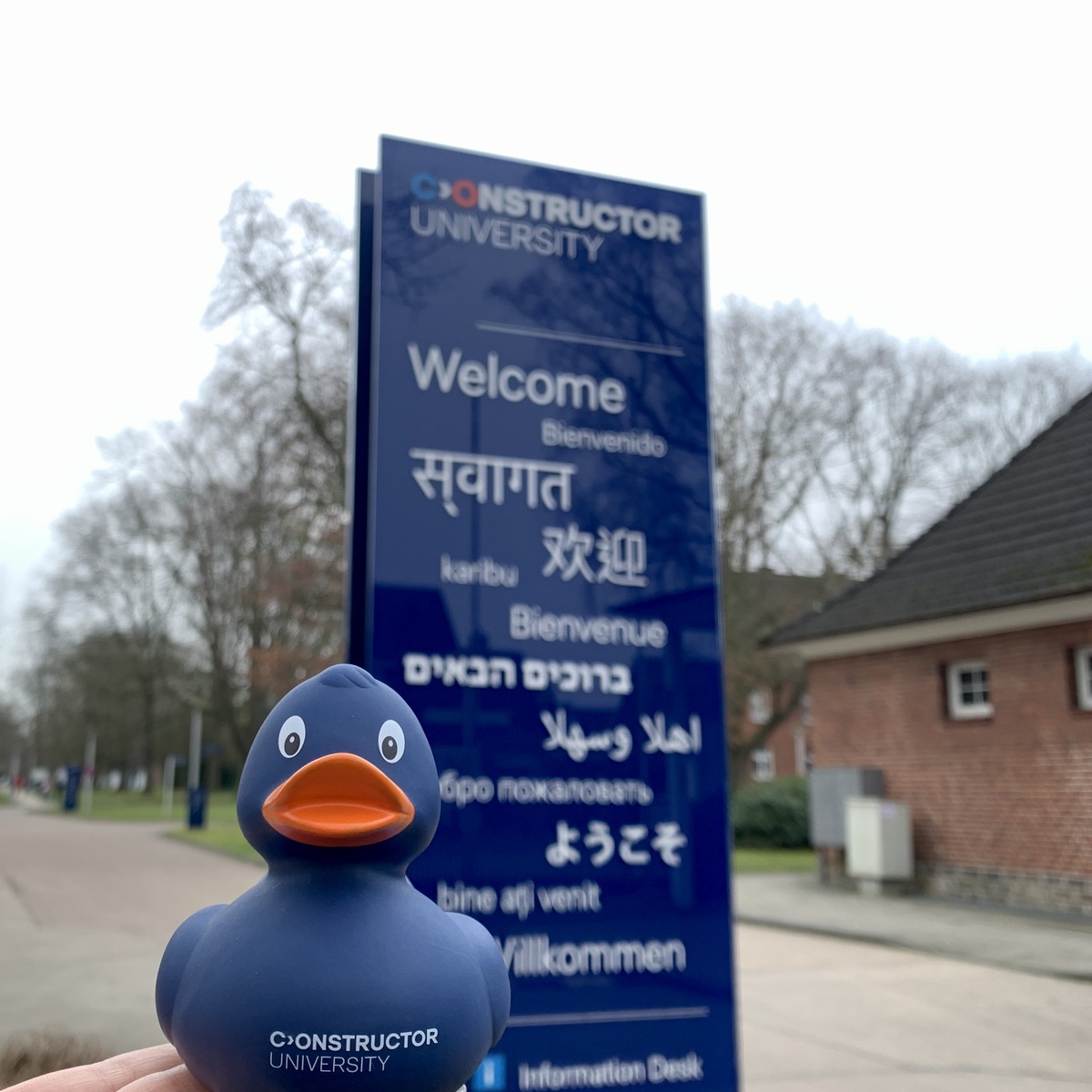 Duck Joana at the entrance of Constructor University
