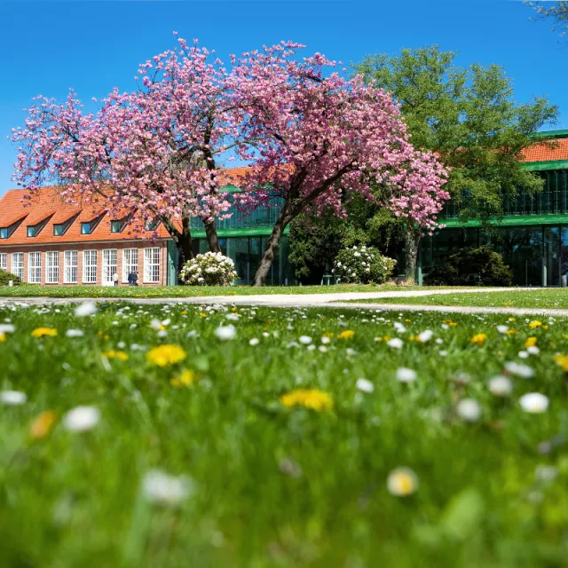 university campus