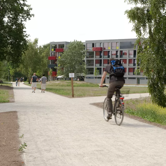 Student bike