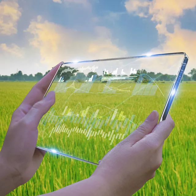 Hands holding a device