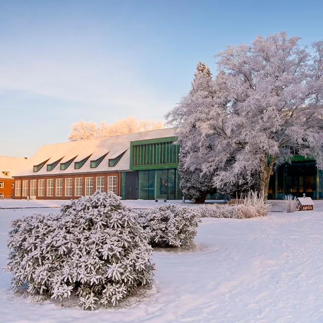 building winter