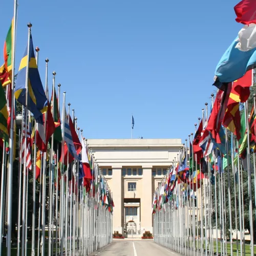 flags